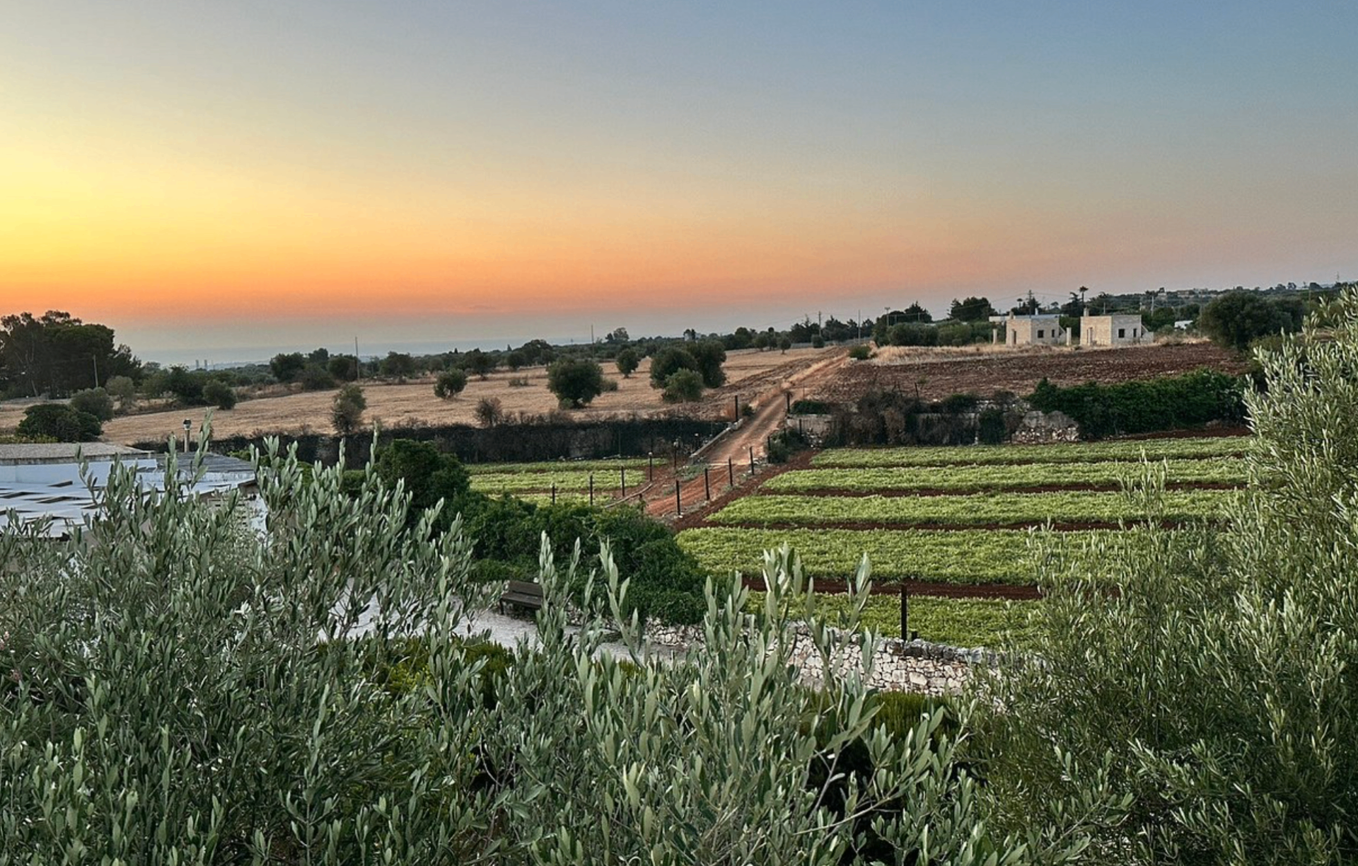Campagna pugliese e orti del resort al tramonto