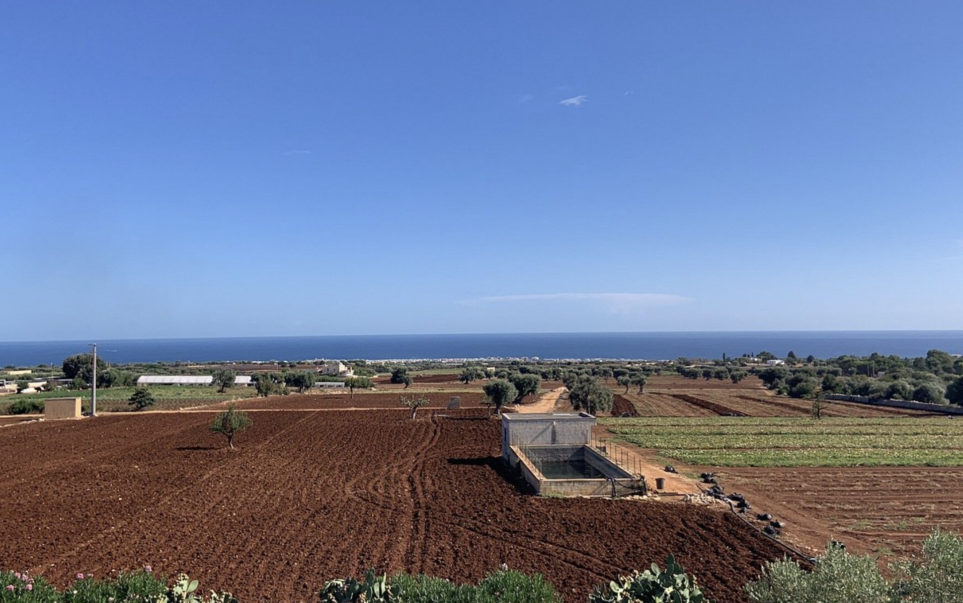 Vista sulla campagna pugliese fino al mare